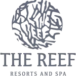 the reef